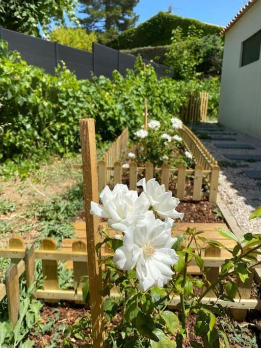 Maison, Jardin, Piscine Parking Pres D'Aix Centre Venelles Zewnętrze zdjęcie
